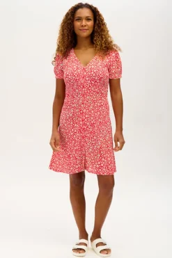 Sugarhill Brighton Gail Dress Rainbow Daisies